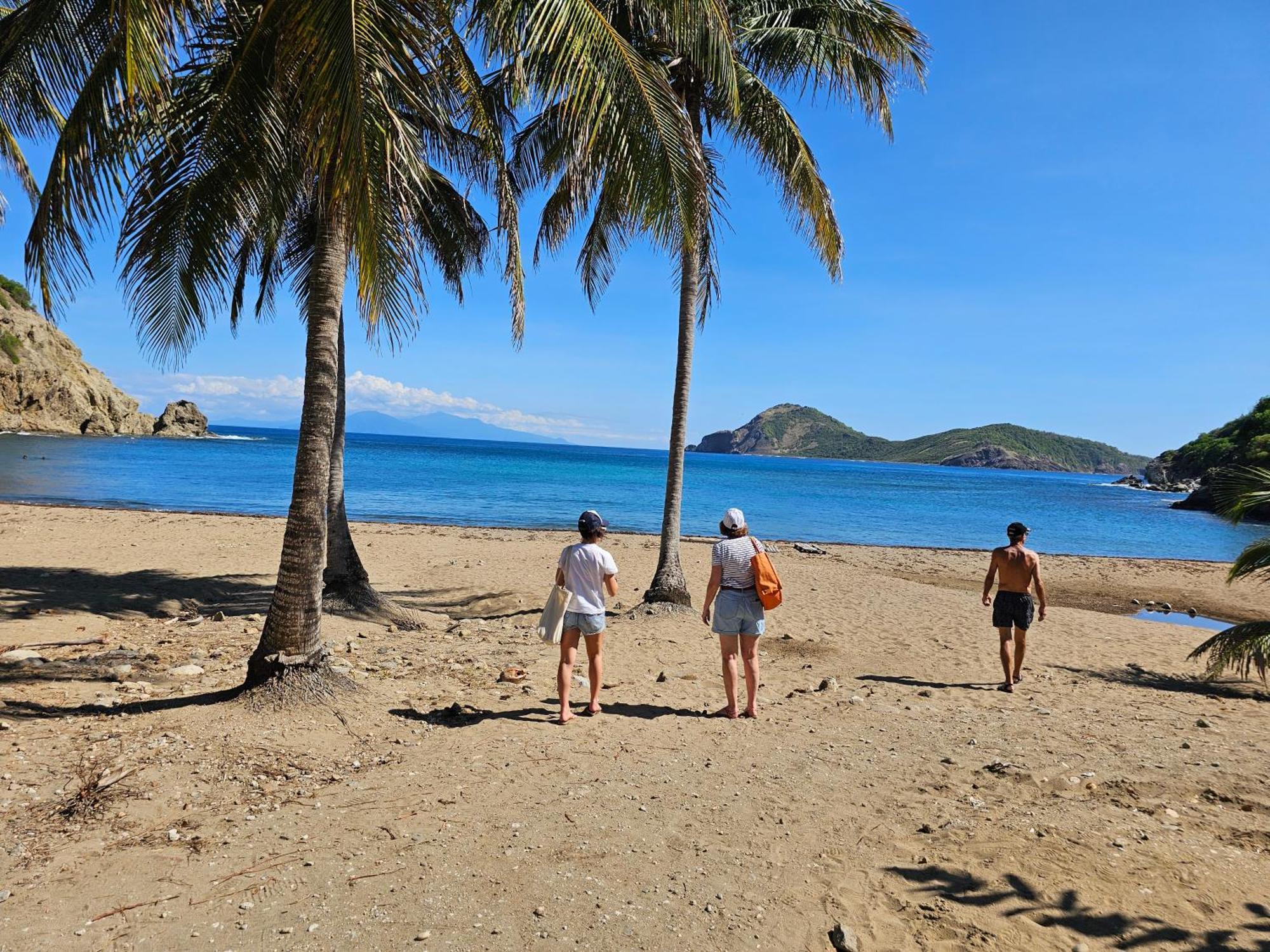 Villa Celyote - Haut De Villa, Vue Mer, A 150M De La Plage Anse Figuier テール・ド・オー エクステリア 写真